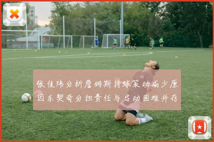 张佳玮分析詹姆斯持球策动减少原因东契奇分担责任与启动困难并存