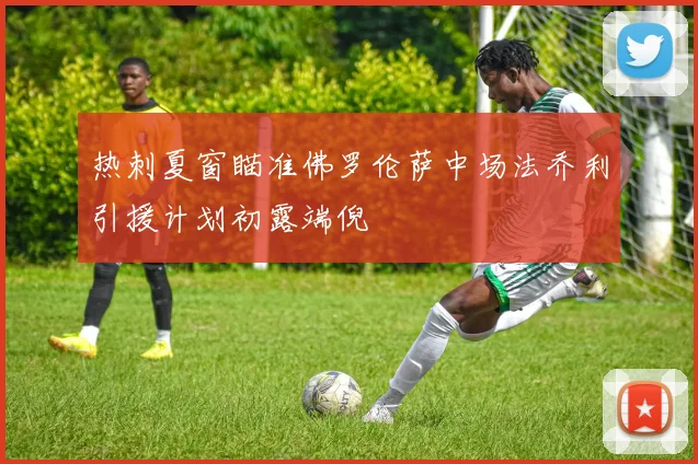 热刺夏窗瞄准佛罗伦萨中场法乔利引援计划初露端倪